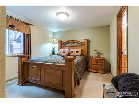 294 E Dory Dr, Black Hawk, CO 80422 photo 10