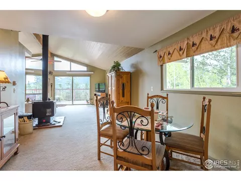 294 E Dory Dr, Black Hawk, CO 80422 photo 20