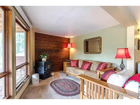 294 E Dory Dr, Black Hawk, CO 80422 photo 8