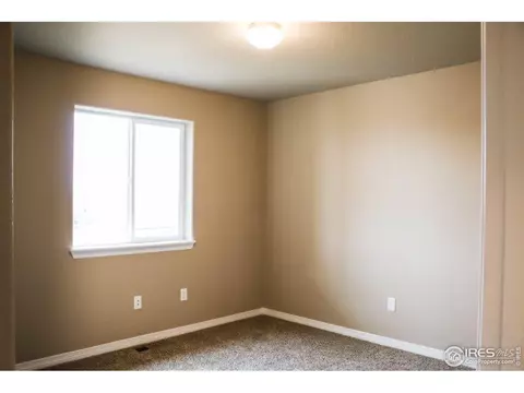1769 Littlewick Dr, Windsor, CO 80550 photo 11