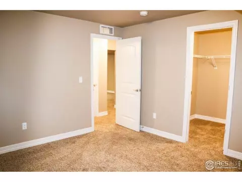 1769 Littlewick Dr, Windsor, CO 80550 photo 19
