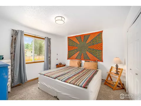 601 10th St, Windsor, CO 80550 photo 14
