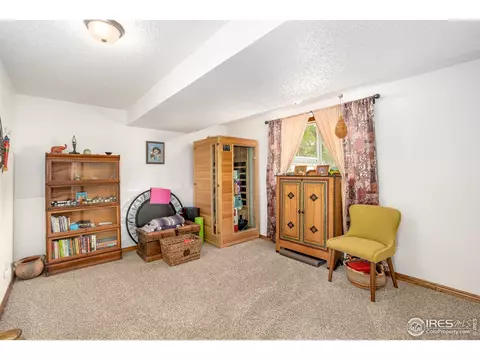 601 10th St, Windsor, CO 80550 photo 19