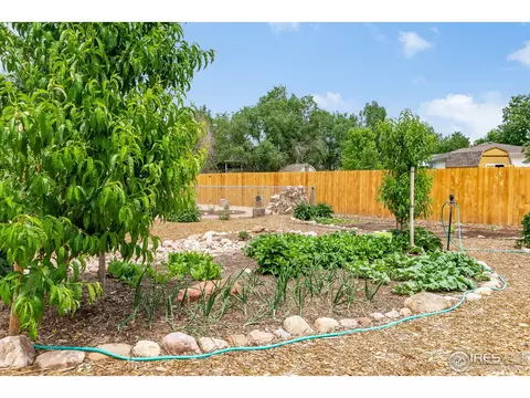 601 10th St, Windsor, CO 80550 photo 35