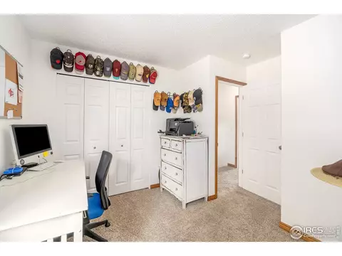 601 10th St, Windsor, CO 80550 photo 17