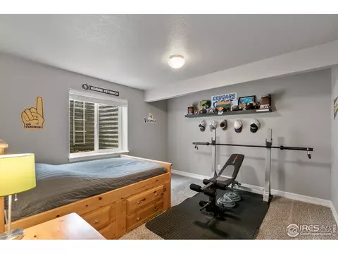 5591 Clarence Dr, Windsor, CO 80550 photo 24