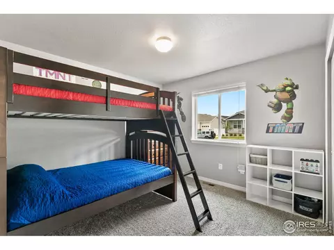 5591 Clarence Dr, Windsor, CO 80550 photo 18