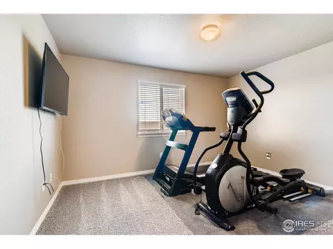 5161 Clarence Dr, Windsor, CO 80550 photo 17