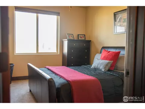 5676 Maidenhead Dr, Windsor, CO 80550 photo 25
