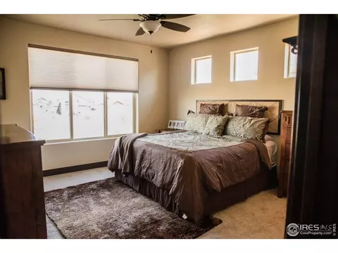5676 Maidenhead Dr, Windsor, CO 80550 photo 15