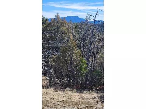 I Path, Cotopaxi, CO 81223 photo 26