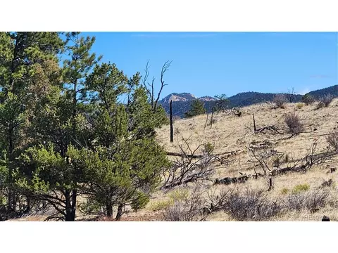I Path, Cotopaxi, CO 81223 photo 28