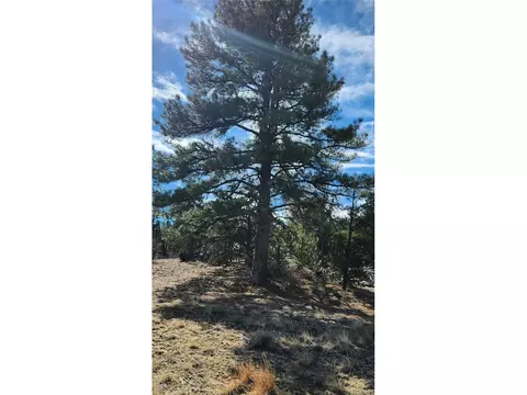 I Path, Cotopaxi, CO 81223 photo 19