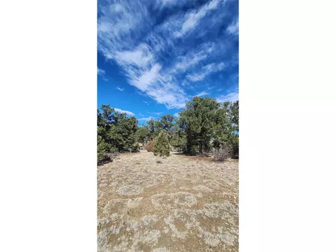I Path, Cotopaxi, CO 81223 photo 25