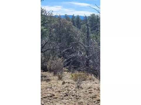 I Path, Cotopaxi, CO 81223 photo 29
