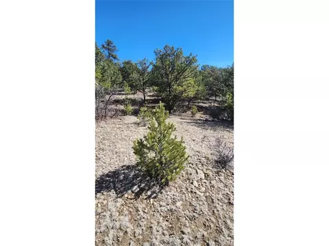 I Path, Cotopaxi, CO 81223 photo 22