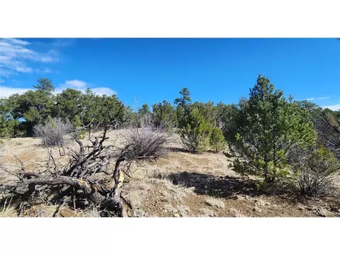 I Path, Cotopaxi, CO 81223 photo 16