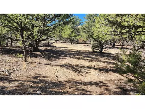 I Path, Cotopaxi, CO 81223 photo 5