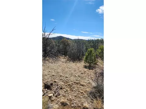 I Path, Cotopaxi, CO 81223 photo 15