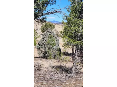 I Path, Cotopaxi, CO 81223 photo 13