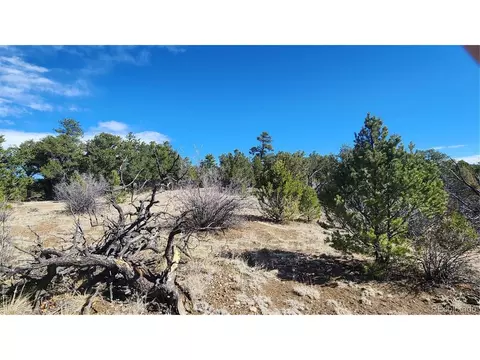 I Path, Cotopaxi, CO 81223 photo 18