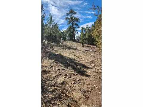 I Path, Cotopaxi, CO 81223 photo 6