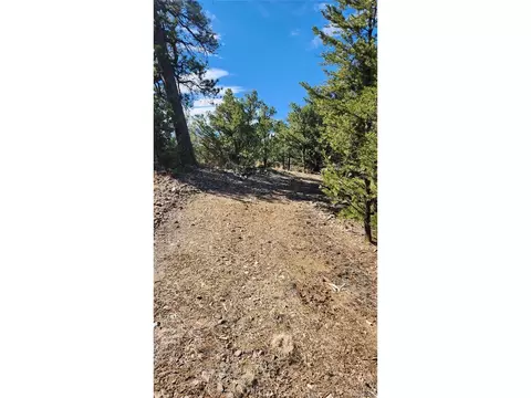 I Path, Cotopaxi, CO 81223 photo 10