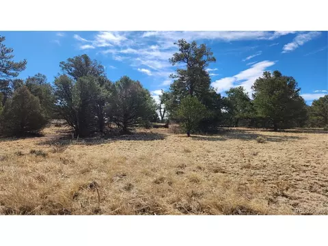 I Path, Cotopaxi, CO 81223 photo 2