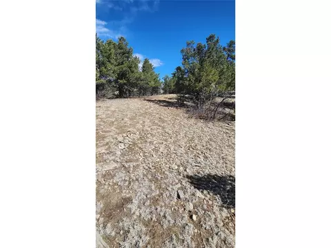 I Path, Cotopaxi, CO 81223 photo 24