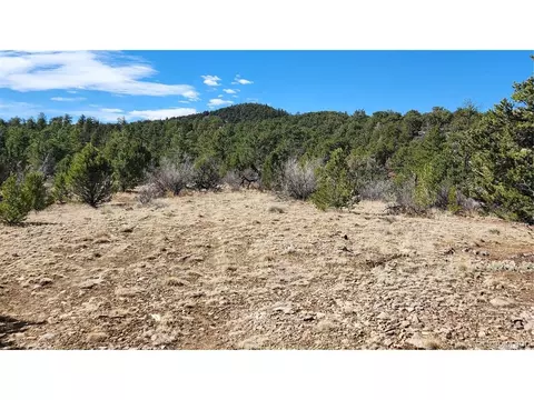 I Path, Cotopaxi, CO 81223 photo 14