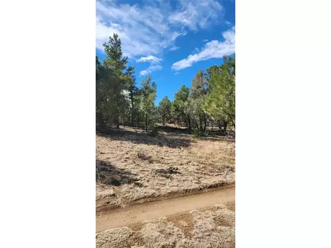 I Path, Cotopaxi, CO 81223 photo 23