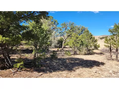 I Path, Cotopaxi, CO 81223 photo 9