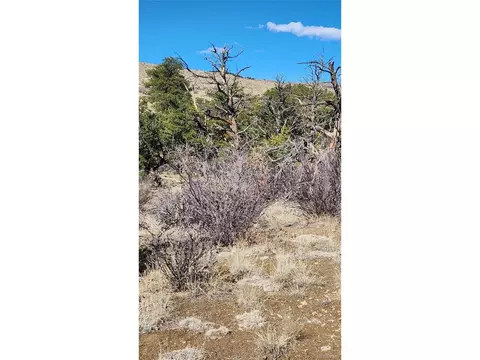 I Path, Cotopaxi, CO 81223 photo 17