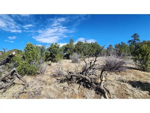 I Path, Cotopaxi, CO 81223 photo 20