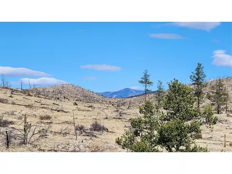 I Path, Cotopaxi, CO 81223 photo 30