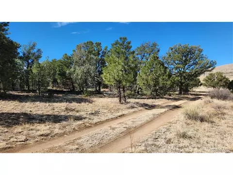I Path, Cotopaxi, CO 81223 photo 12