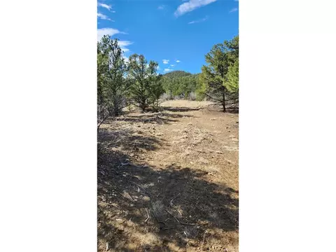 I Path, Cotopaxi, CO 81223 photo 11
