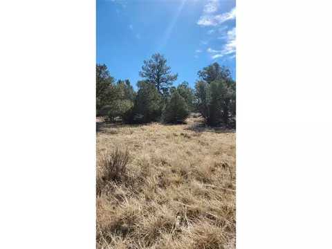 I Path, Cotopaxi, CO 81223 photo 27