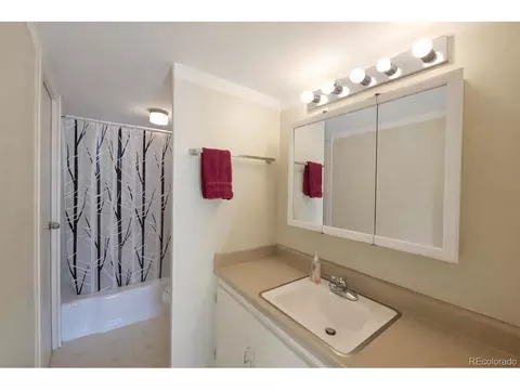 4801 E 9th Ave #609S, Denver, CO 80220 photo 12