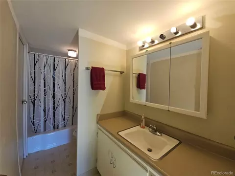4801 E 9th Ave #609S, Denver, CO 80220 photo 16