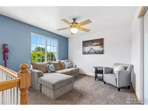 6411 Stagecoach Ave, Longmont, CO 80504 photo 24