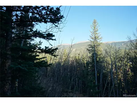 310 Wise Rd, Bailey, CO 80421 photo 1