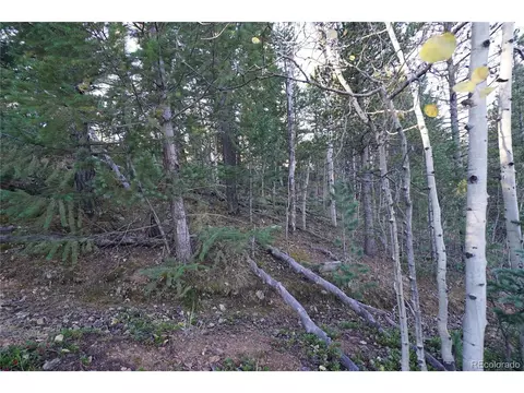 310 Wise Rd, Bailey, CO 80421 photo 2