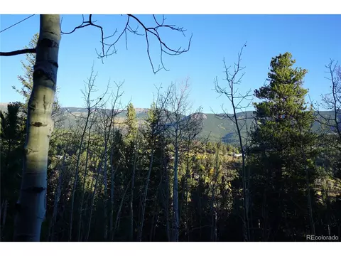 310 Wise Rd, Bailey, CO 80421 photo 4