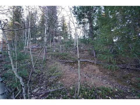 310 Wise Rd, Bailey, CO 80421 photo 3