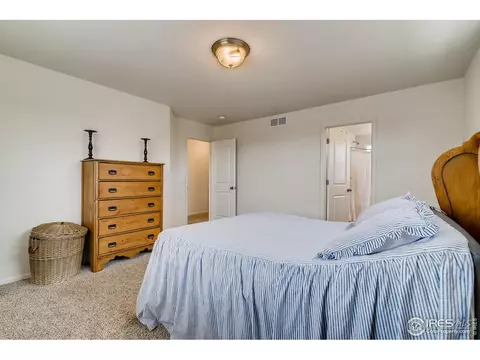 440 Ptarmigan St, Severance, CO 80550 photo 19