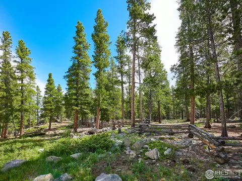 133 Wallens Pl, Black Hawk, CO 80422 photo 14