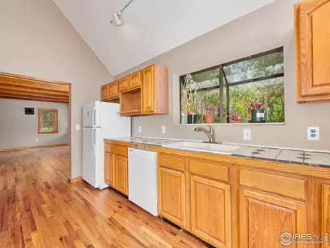 133 Wallens Pl, Black Hawk, CO 80422 photo 6