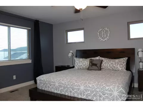 102 Veronica Dr, Windsor, CO 80550 photo 14