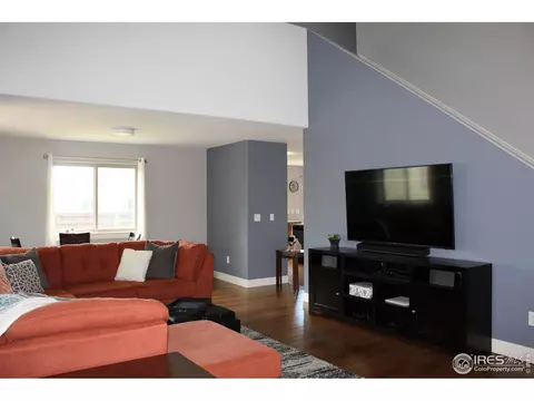 102 Veronica Dr, Windsor, CO 80550 photo 12